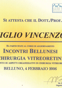Incontri bellunesi di chirurgia vitreoretinica