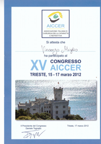 XV Congresso AICCER